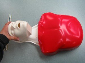 Manikin for CPR classes